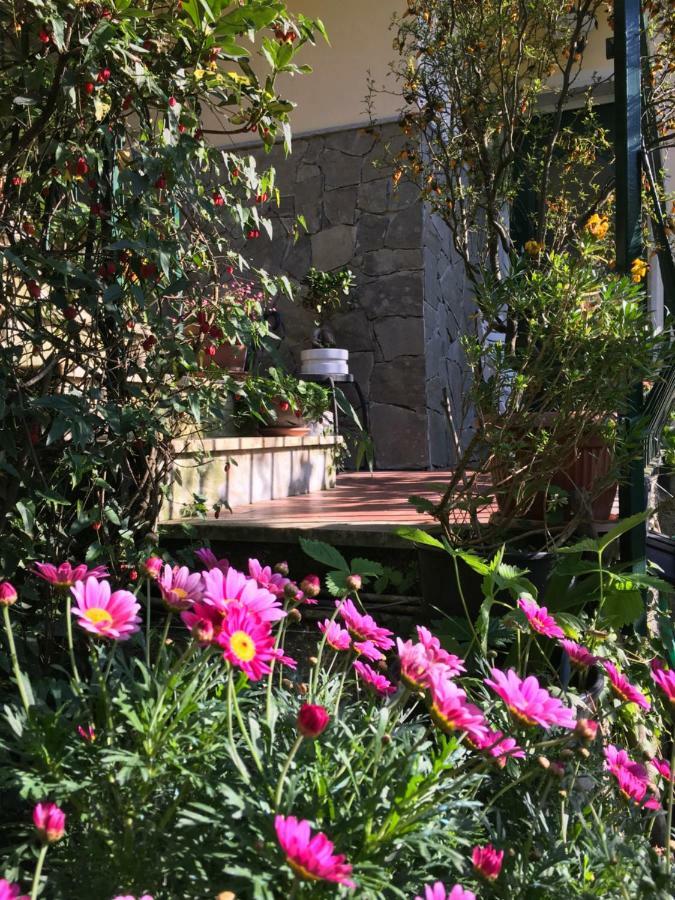 Il Nido Della Rondine Bed & Breakfast Leivi Exterior foto