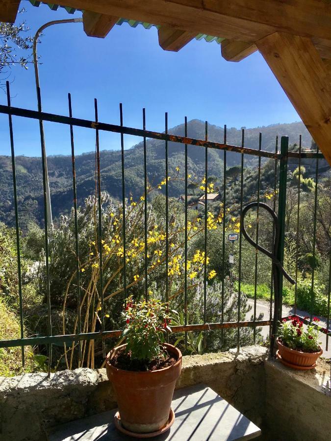 Il Nido Della Rondine Bed & Breakfast Leivi Exterior foto